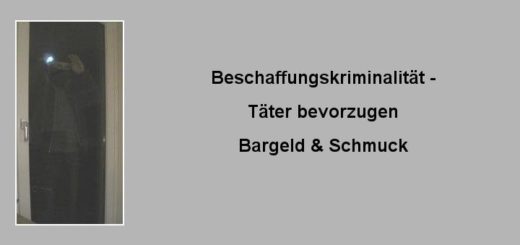 Einbruchschutz-Beschaffungskriminalität