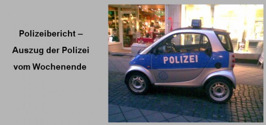Einbruchschutz-Polizeibericht