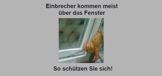 Einbruchschutz-Fenster-Einbrecher