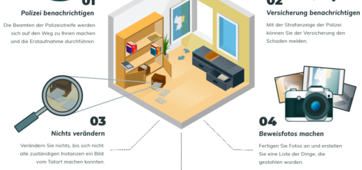 einbruch-guide-infographic